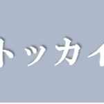 ドラマW【トッカイ】タイトルの意味や由来は?元ネタやモデルはあるの?