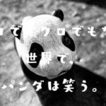 シロでもクロでもない世界で、パンダは笑う。のタイトルの意味や由来は?