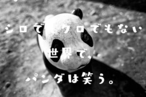 シロでもクロでもない世界で、パンダは笑う。のタイトルの意味や由来は？